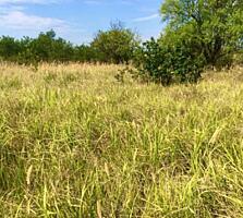 Продается участок , размером 10 соток, для индивидуального дачного ...