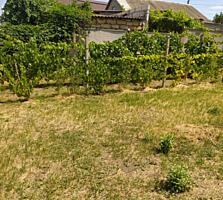 Предлагается к продаже участок под строительство жилого дома в ...