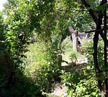 Продам участок в Сухом Лимане