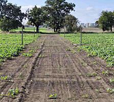 Продам участок 7 соток в Фонтанке, под застройку