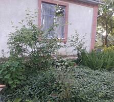 Продается дом в дачном кооперативе. Жилое состояние. В дом заведена ..