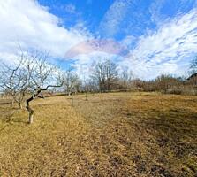 Oportunitate Unică în Trușeni – Lot de Pământ pentru Construcții