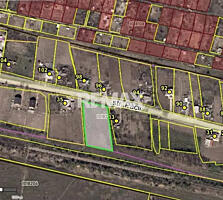 Teren pentru construcții – 33 ari, Botnăreștii Noi, Raionul Anenii Noi