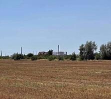 В продаже участок в Прилиманском. Участок правильной формы 10 соток ..