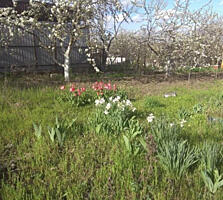 Продам участок с.Светлое новые дачи ул. Вишневая, участок 6 соток ...