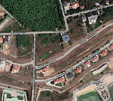 Участок на берегу Черного моря./Сосновый берег