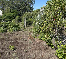 Продам участок в пригороде Одессы/ Бурлачья балка