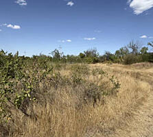 Предлагается к продаже земельный участок 6 соток в селе Фонтанка. ...