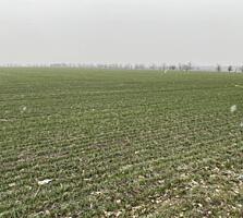 Продается участок 6 соток, расположенный в экологически чистом ...