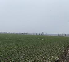 Продается участок 6 соток, расположенный в экологически чистом ...