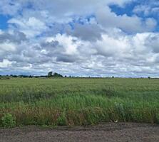 В продаже участок правильной формы 2.43 га. идеально подходит для ...