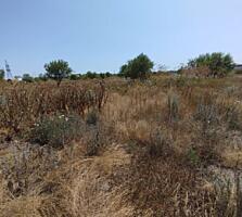 В продаже земельный участок в центре Великодолинского со всеми ...