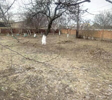 Продажа участка в с. Дачном