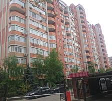 4-комн. квартира на Говорова, Добровольцев, Приморский