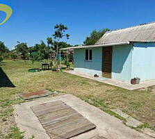 Комфортный дом в Светлом — уют и природа рядом!