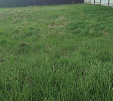 Предлагается к продаже участок правильной формы в самом ...