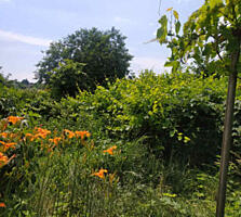 Предлагаем к продаже участок Нати/Нерубайское