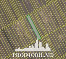 Spre vânzare se oferă teren agricol, situat în Durlești, Poiana ...