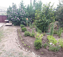 Участок в Холодной Балке с видом на лиман