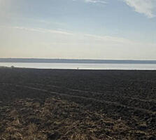 Предлагается к продаже земельный участок вблизи Красноселки. В ...