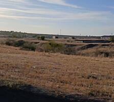 Предлагается к продаже участок в начале села Протопоповка, рядом ...