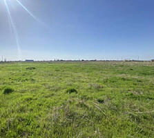 Предлагается к продаже земельный участок 8 соток в с. Красноселка. ...