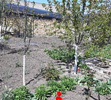 Продам участок 25 соток в селе Большая Балка