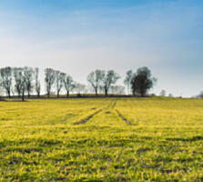 Царское село -1, Таирова.