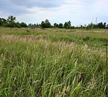 Терміново продам земельну ділянку 4 га поруч із ТРЦ Riviera, Фонтанка