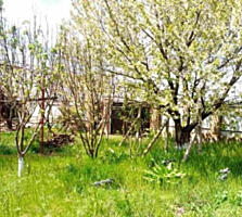 Продам участок 10 соток в с.Александровка (5 км от Одессы)