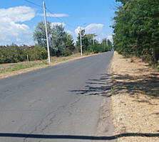 Участок 15 соток в Александровке с видом на озеро.