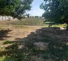 Предлагается к продаже большой участок в Овидиопольском районе ...