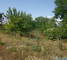 Продажа участка в Большом Дальнике