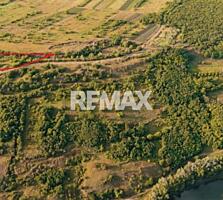 Teren agricol intravilan, 63 ari pe malul Nistrului, Doroțcaia