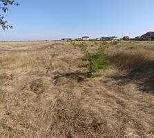 Продажа земельного участка в ОГСТ Маяк. Расположен участок на ...