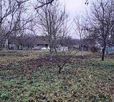 Продаётся участок. Черниговская область, Бобровицкий район , ...