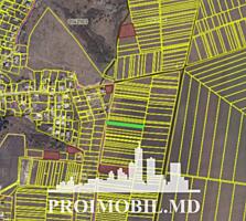 Spre vânzare se oferă teren cu destinație agricolă, situat în com. ...