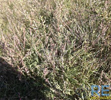 Продается участок вс. Нерубайское с широким фасадом.