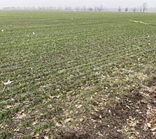 Продается участок 6 соток земли в Фонтанке (новая нарезка). Участок ..