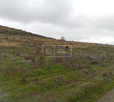 Spre vânzare teren agricol, comuna Tigheci, raionul Leova, suprafața .