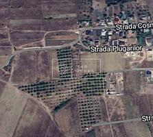 Se oferă spre vânzare teren agricol în satul Frumușica, comuna ...