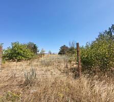 В продаже участок 15 соток в Великом Дальнике. 24 км от Одессы. ...