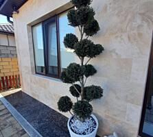 Дом в 15 минутах от Одессы, рядом Усатово, Слободка