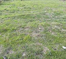 Предлагается к продажи участок  назначения; садоводство. Участок ...