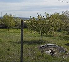 Продам участок в Кошарах. Участок общей площадью  6.5 соток ...