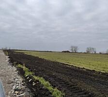 В продаже участок 5 соток. Участок расположенный в Сухом Лимане. ...