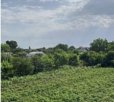 Продам ухоженный участок 15 соток земли, второй ряд от реки Турунчук .