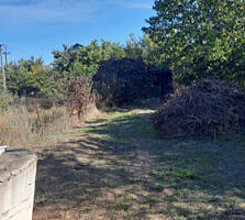 Участок 15 соток в с. Латовка (с. Котовка)