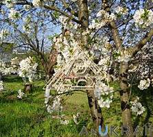 Участок в БЕЛЯЕВКЕ