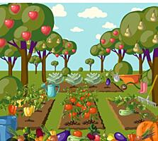 Продам дачу 6 соток